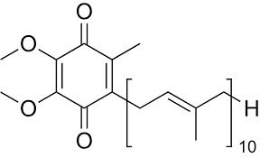 Coenzyme Q10 (CoQ10)