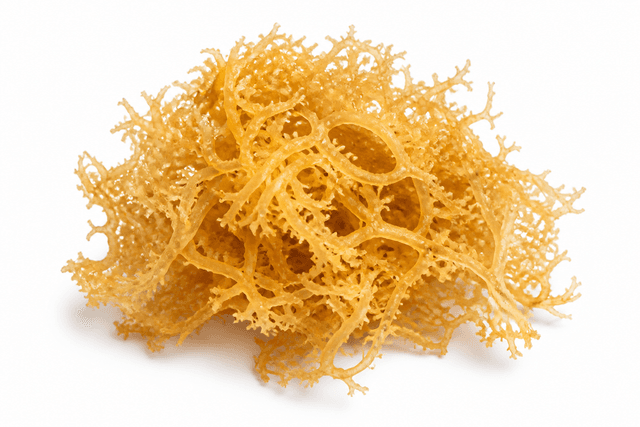 Organic Irish Moss