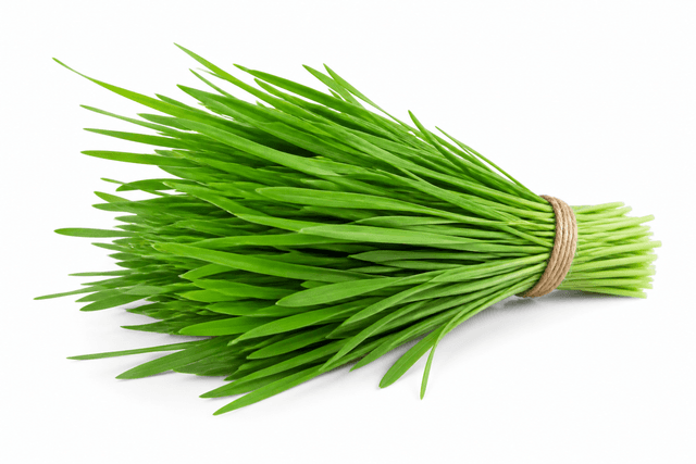 Organic Wheatgrass