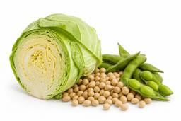 Previous ingredient