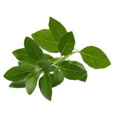 Stress & Mood Balance Adaptogens